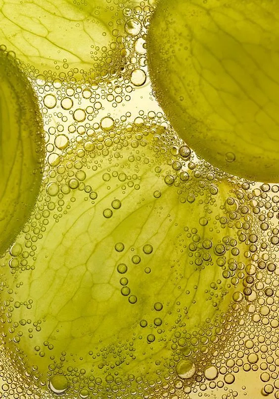 Mosto de Uva Blanca